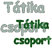 Ttika
csoport