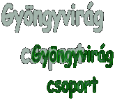 Gyngyvirg
csoport